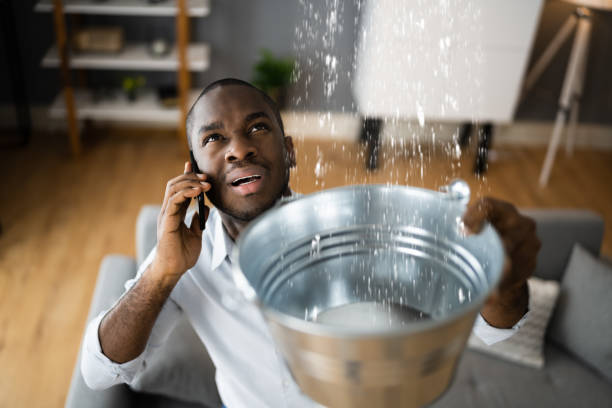 Best Water damage repair service  in Nth Plains, OR