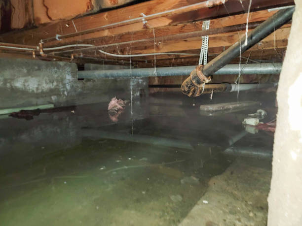 Best Sewage cleanup and water damage restoration  in Nth Plains, OR