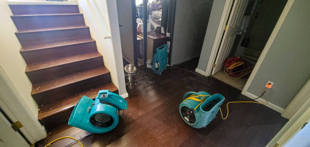Best Basement water damage restoration  in Nth Plains, OR