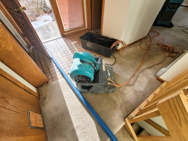 Best Commercial water damage restoration  in Nth Plains, OR